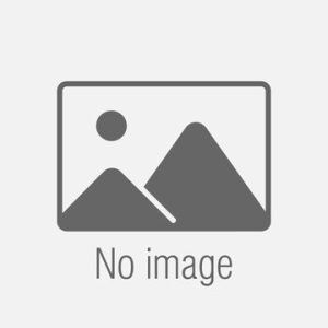 Electrical Conductive Grease